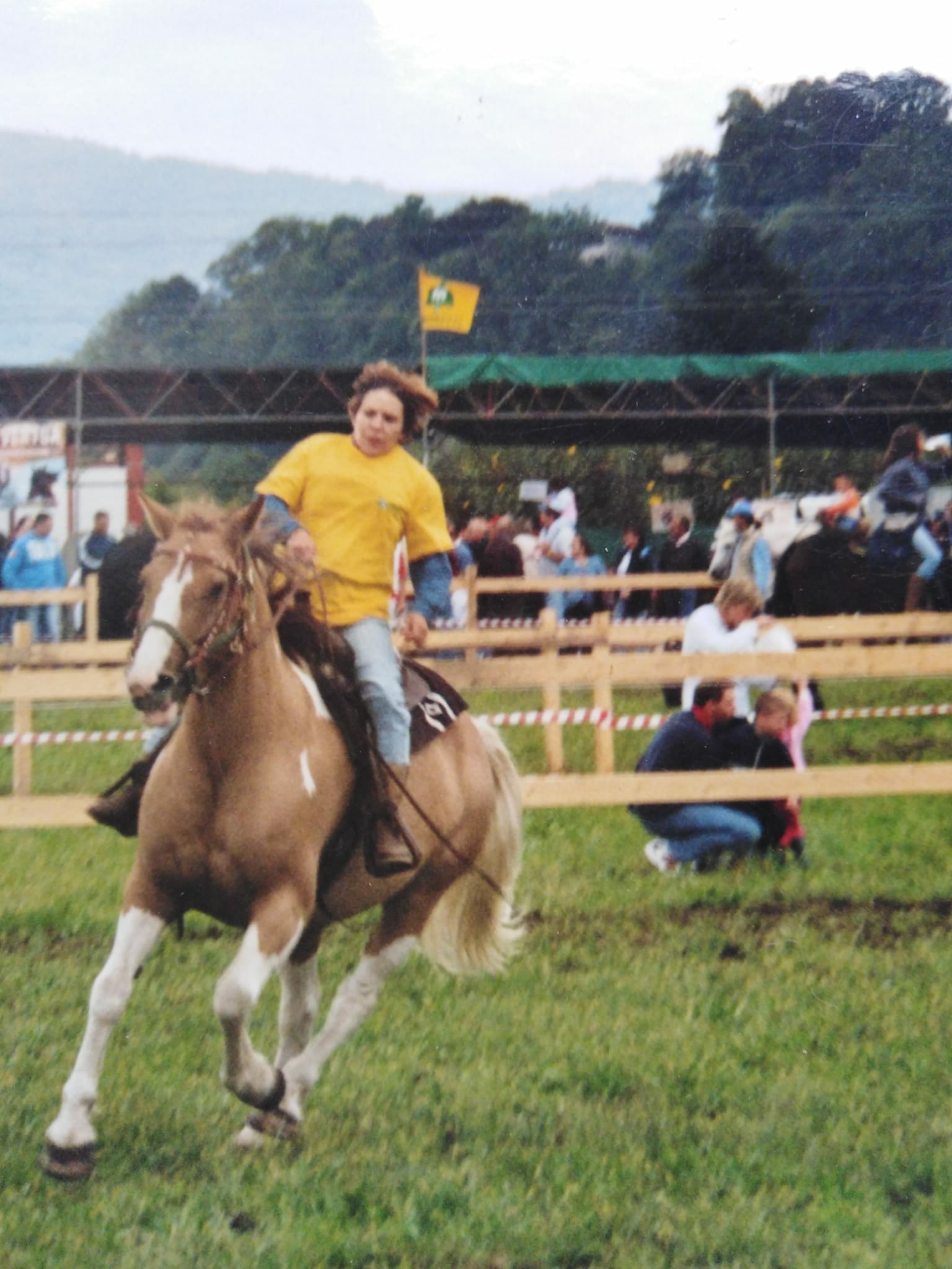 Cavallo Lago Maggiore_Cicero