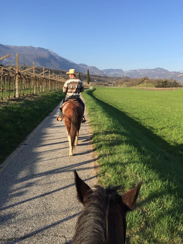 Passeggiata a cavallo a Caprino Veronese con aperitivo | Cicero