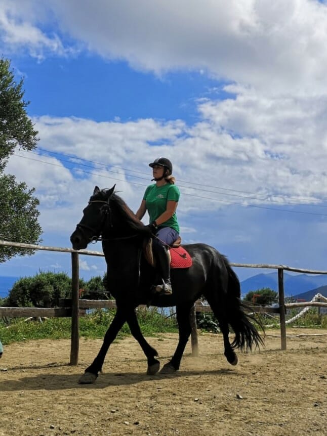 passeggiata cavallo picnic