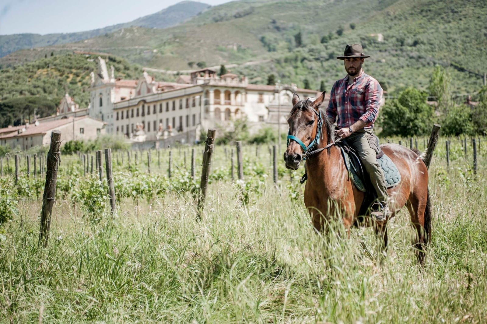 passeggiata cavallo pisa