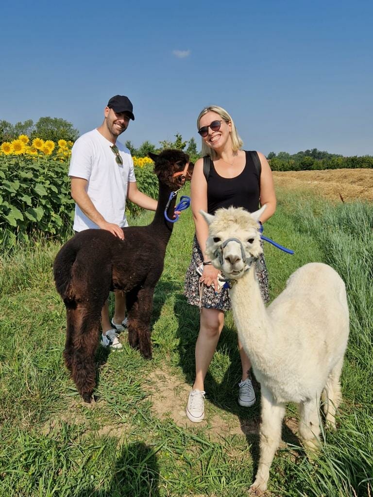 passeggiata alpaca relax