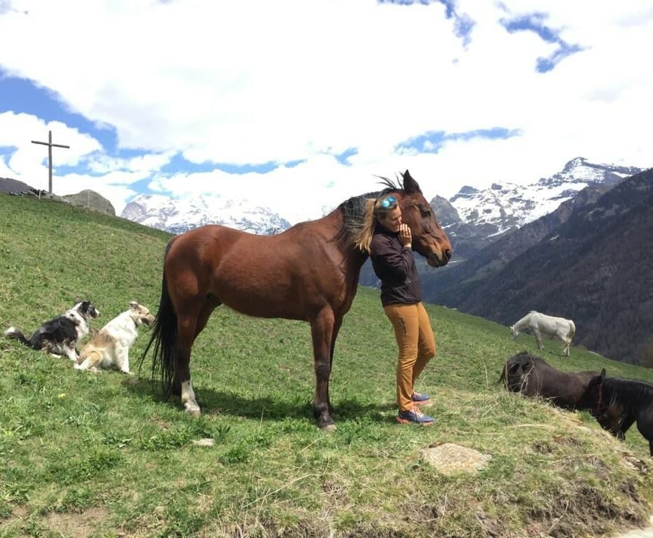 cavallo aosta_cicero