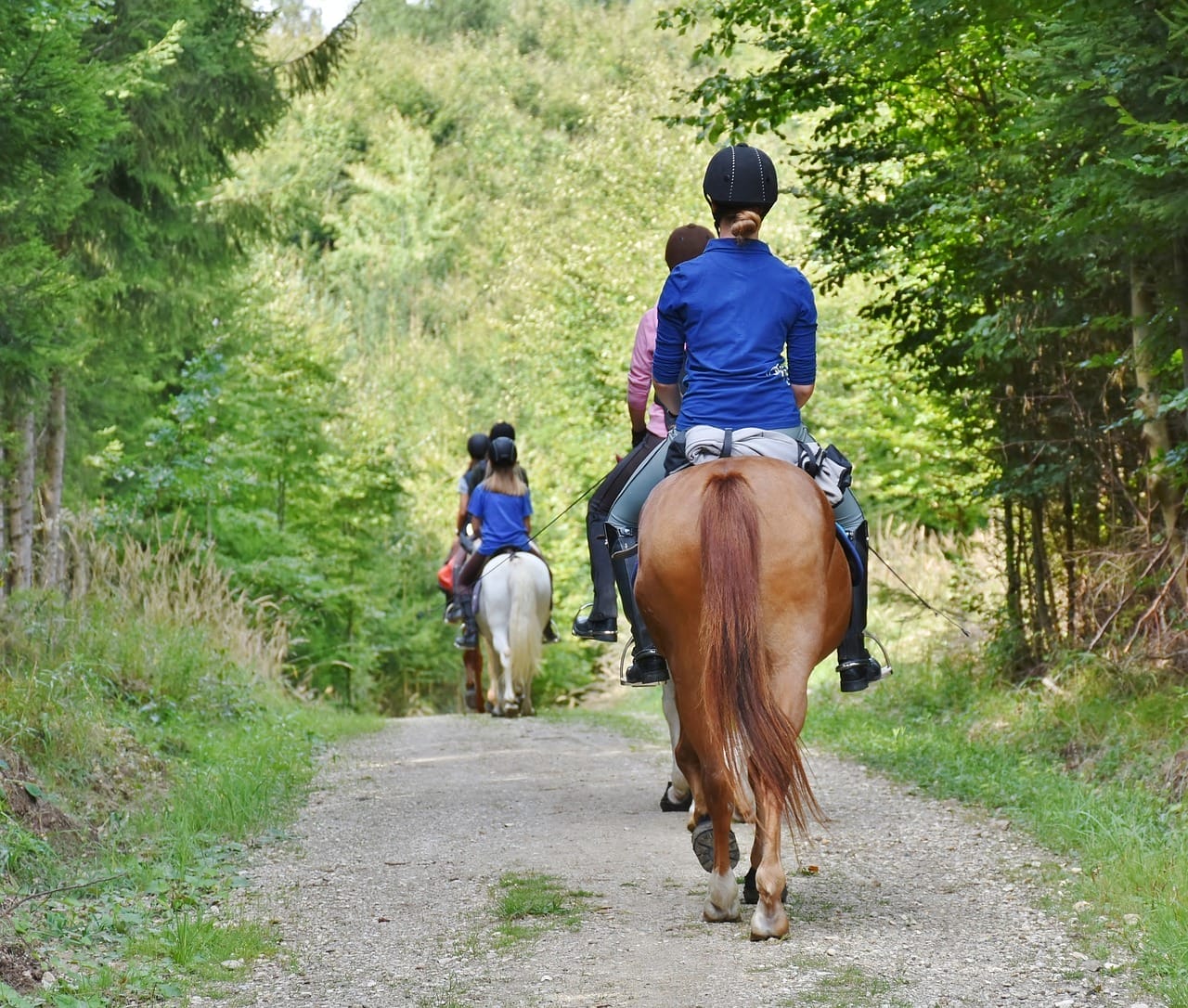 passeggiata cavallo asti