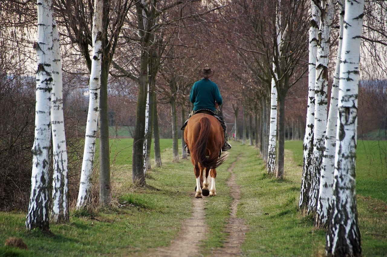 passeggiata cavallo asti