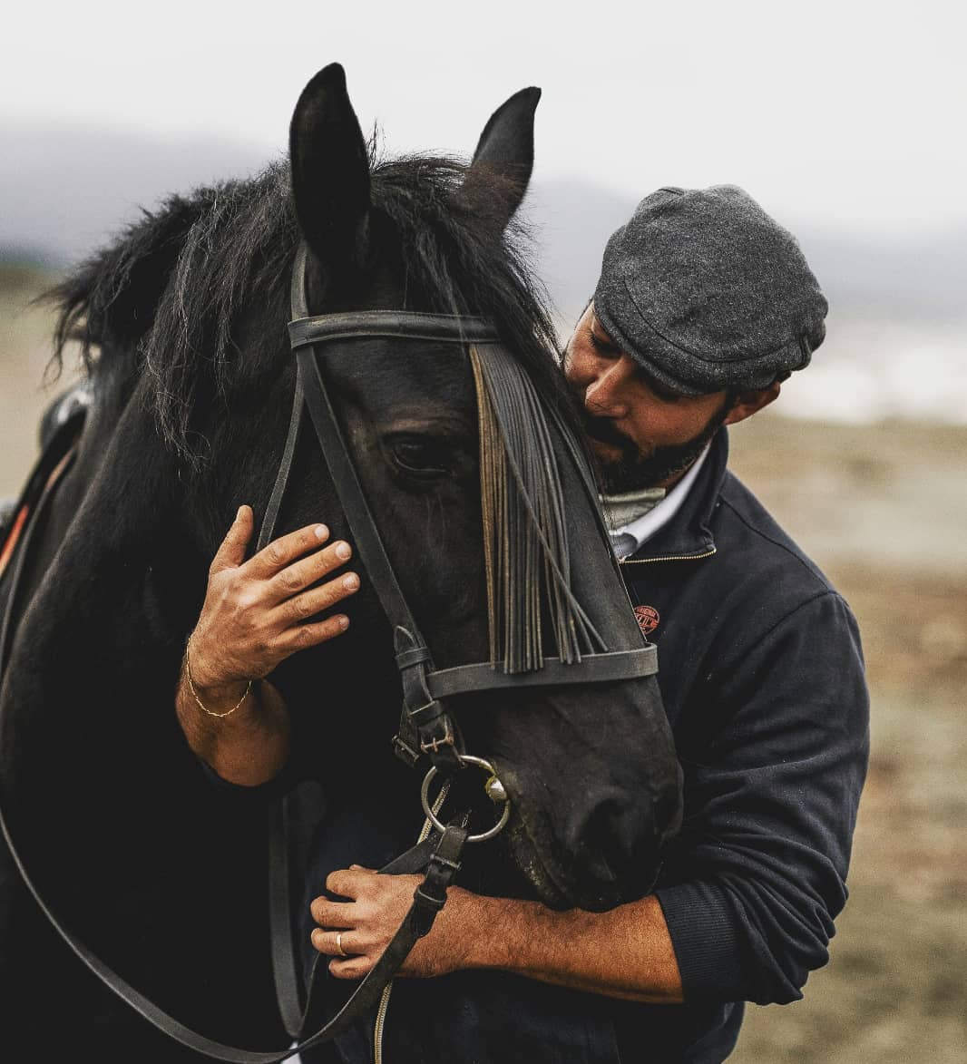 cavallo sarzana degustazione_cicero