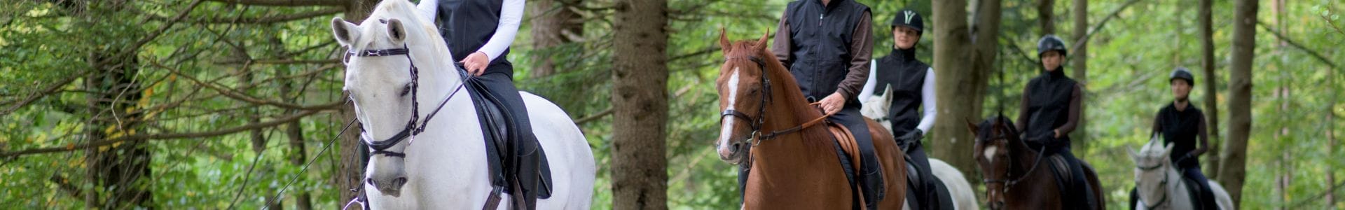 Passeggiate a cavallo